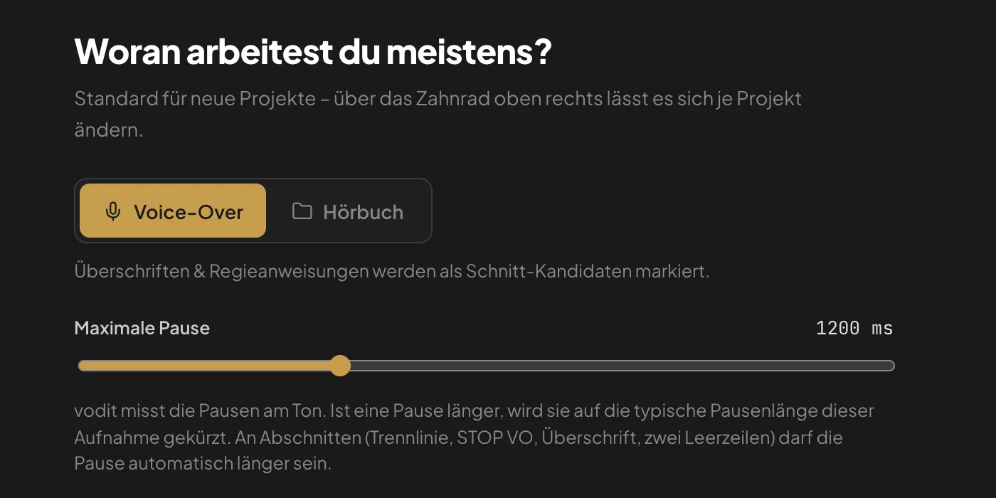 Voice-Over oder Hörbuch und maximale Pause